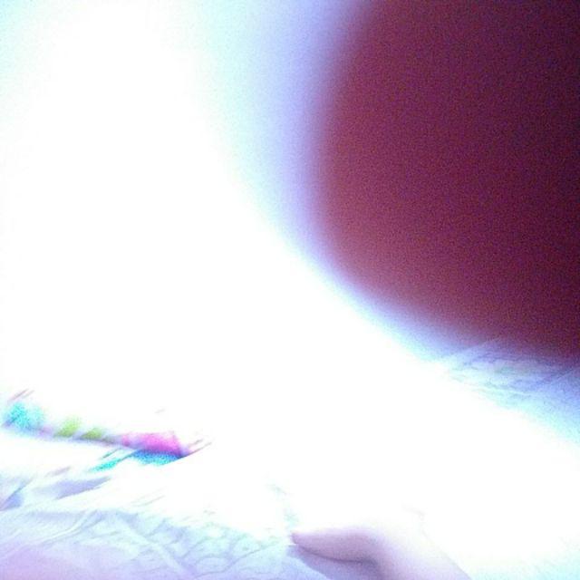 Simulasi Kecoa Palsu Bahan Karet