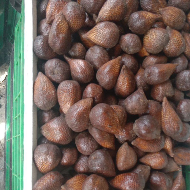 

Salak Pondoh berat 1 kg