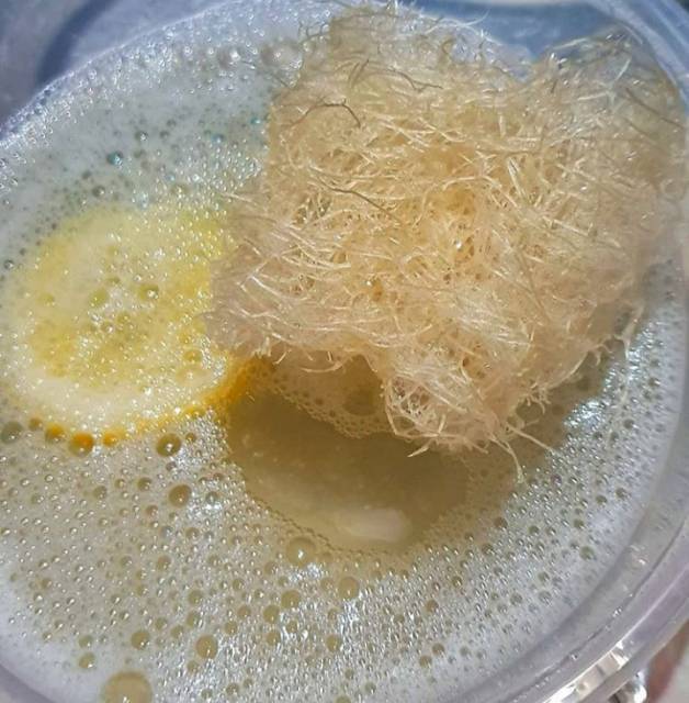 Loofah Spons Mandi Cuci Piring Serat Oyong Gambas Utuh Herbal Natural