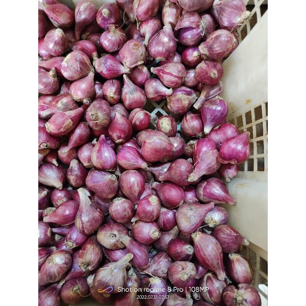 

Bawang Merah size Pilihan 500gr