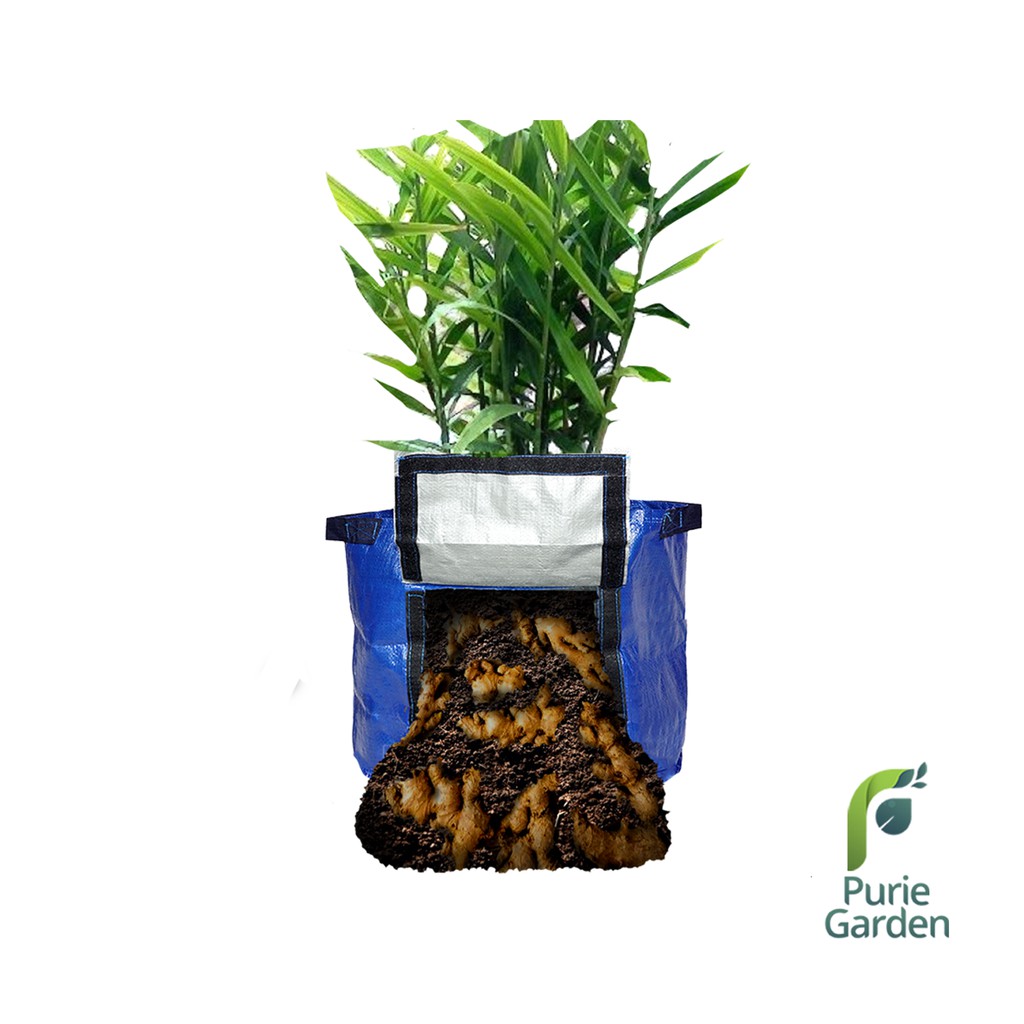 Planter Bag Rhizoma Small/Planter Bag Umbi Puriegarden PG SBY