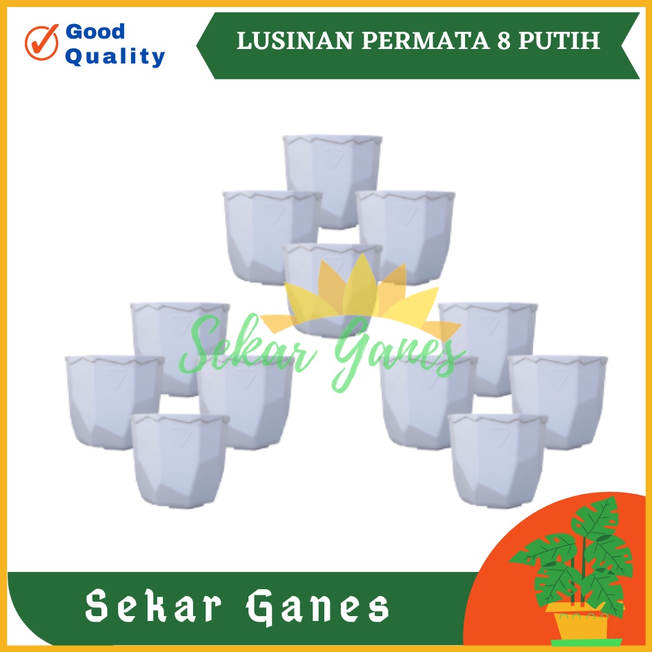 Lusinan Isi 12 Pcs Pot Permata 8CM Putih Pot 8 Cm Putih Lusinan Pot Plastik Kaktus Mini Lucu Murah