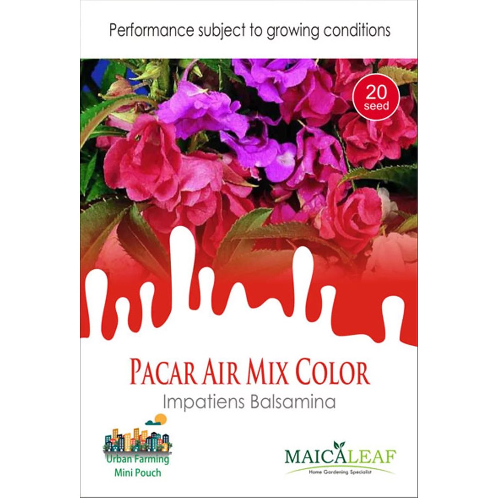 Benih Bunga Pacar Air Tumpuk/Bibit Pacar Air isi 20 Benih