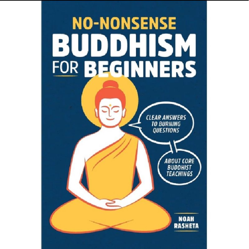 

NO NONSENSE BUDDHISM FOR BUGINNERS