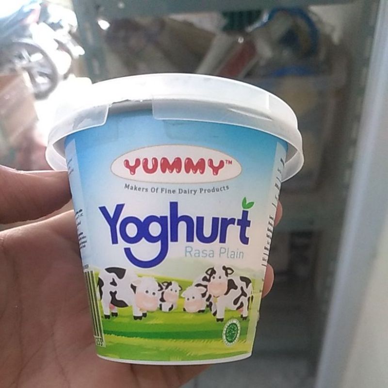 

YUMMY YOGURT PLAIN 100GR