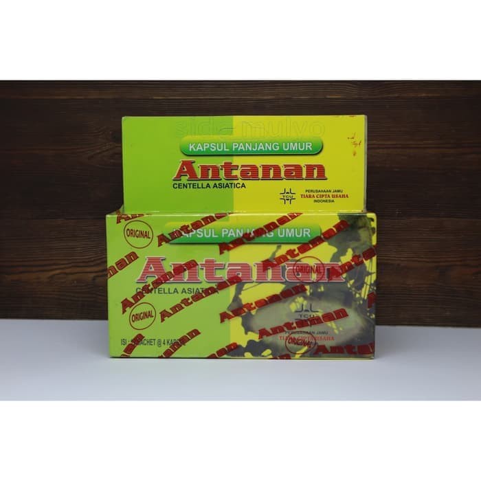 

Antanan Kapsul Panjang Umur-Obat Pegal Linu Asam Urat Kolesterol ORI