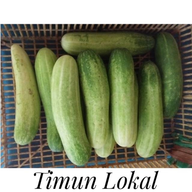 

Timun Lokal Segar 250 Gram