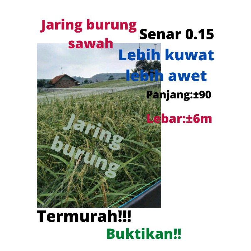 JARING BURUNG SAWAH SENAR TEBAL Jaring Burung Pipit Sawah Pelindung Padi Penghalo burung emprit buru