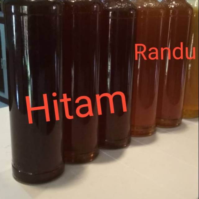 

Madu lebah hutan
