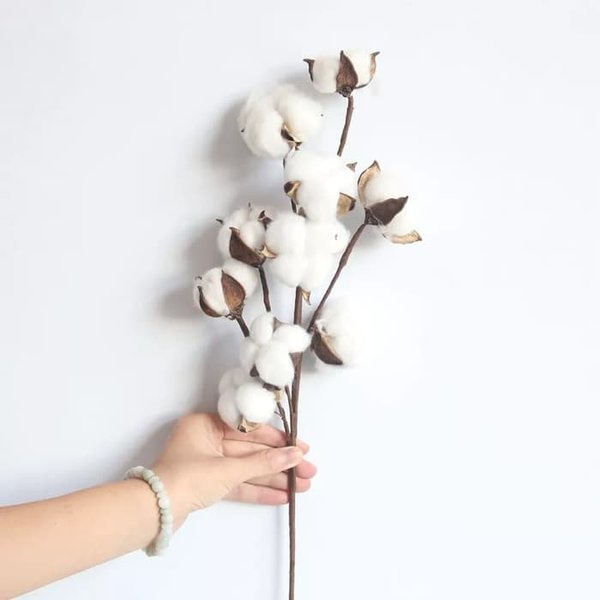 MoonLand Artificial Cotton Single Stem Flower Artfisial Bunga Kapas Bunga Cotton Ball Dekorasi Hiasan Pajangan KB15