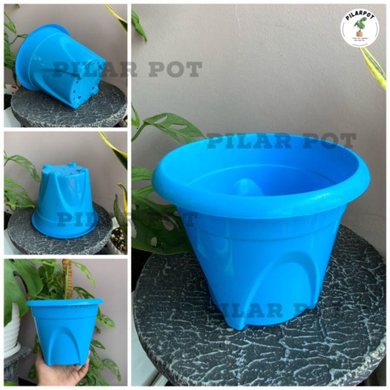 pot bunga tanaman nkt nanas 20 warna warni - NKT NANAS