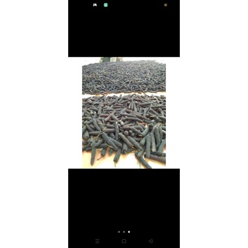 

jamu jawa kering cabe puyang