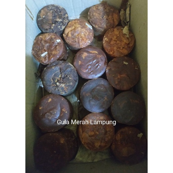 

Gula Merah / Aren Lampung Dan Curup