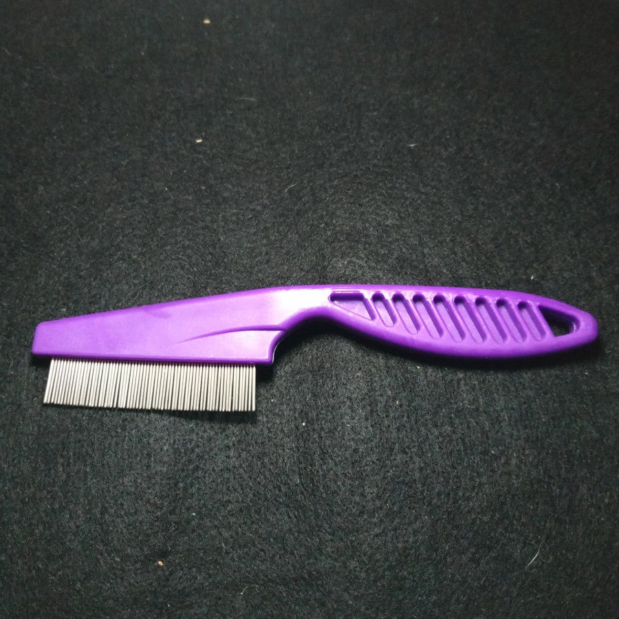 sisir kutu