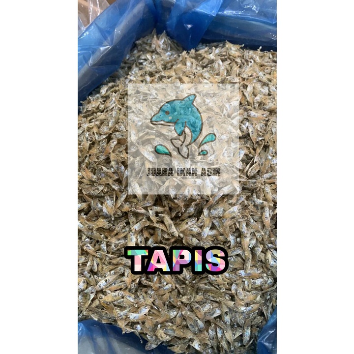 

IKAN ASIN TAPIS KECIL / IKAN SEMADAR ( FRESH DAN SEGAR)