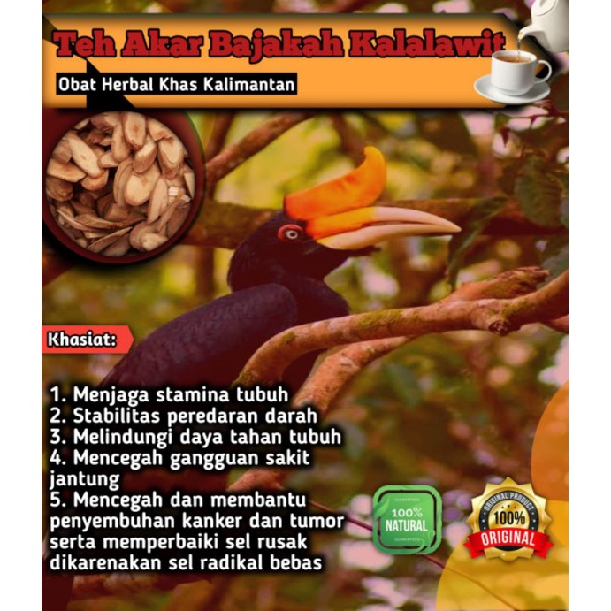 [ISI 10] Teh Celup Bajakah Asli Kalalawit Merah Super 100% ASLI Asli Kalimantan Obat Herbal Kanker,