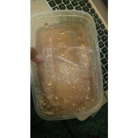 

madu sarang hutan garut selatan