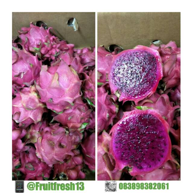 

Red Dragon Fruit/ Buah Naga Merah