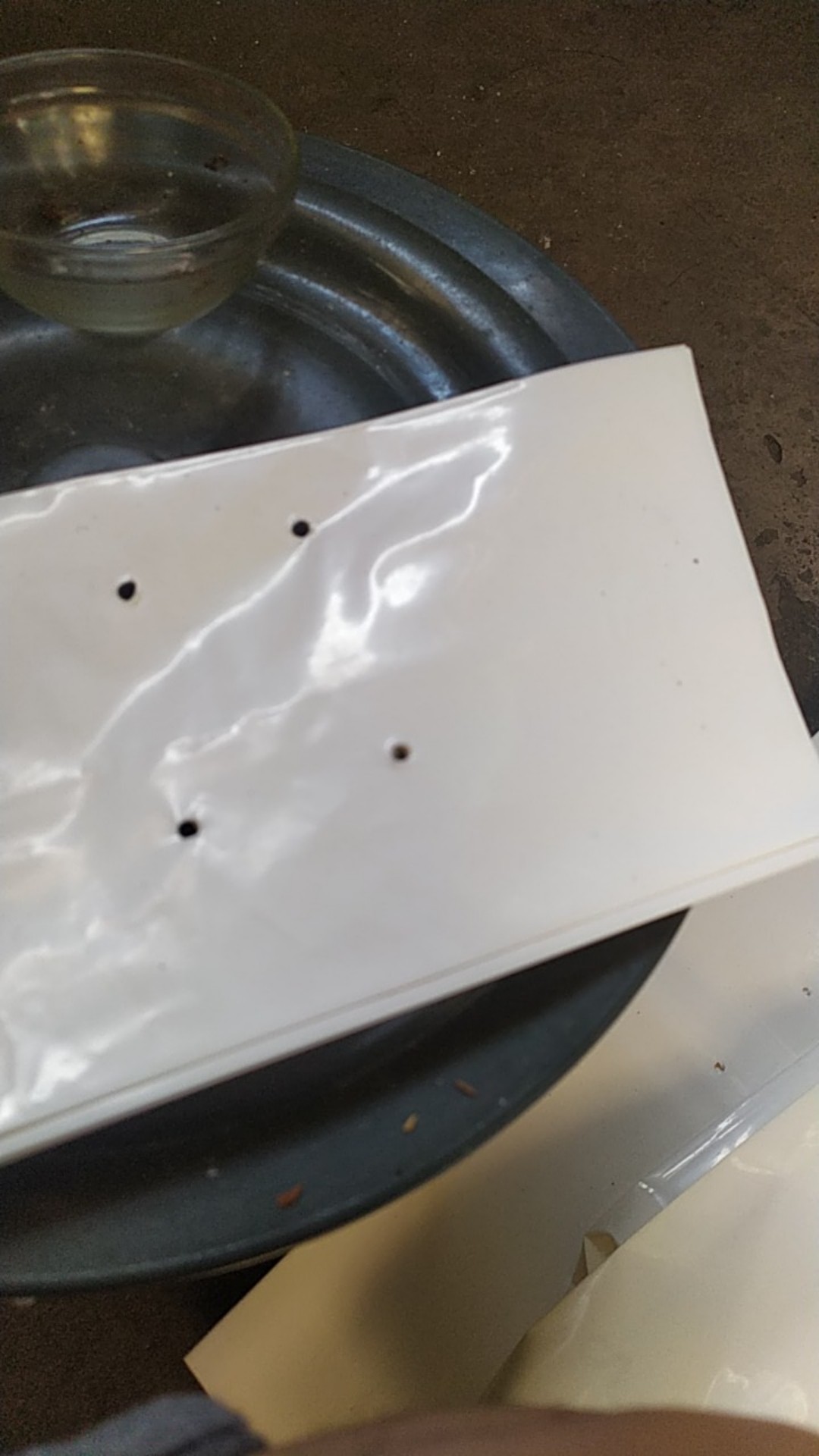 Polybag Putih 25 X 25