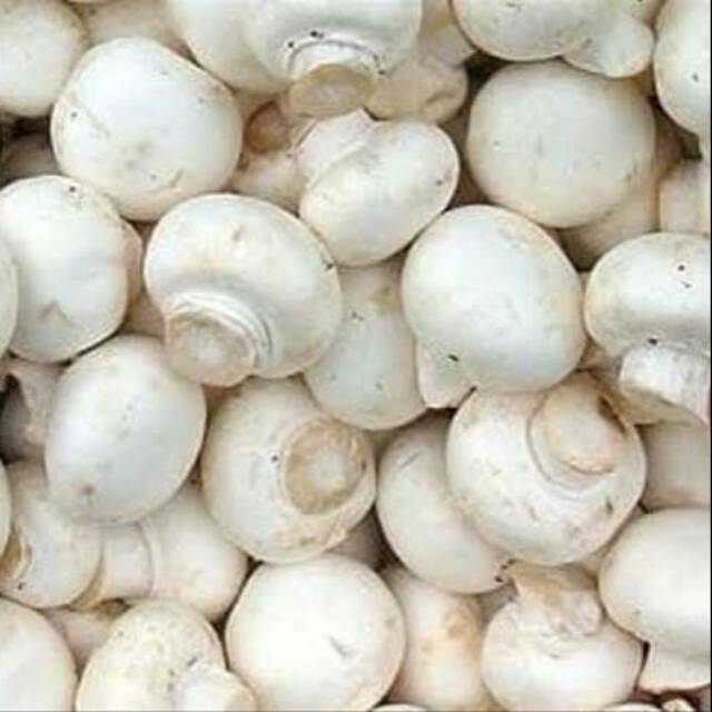 

Jamur kampinon (per pack)