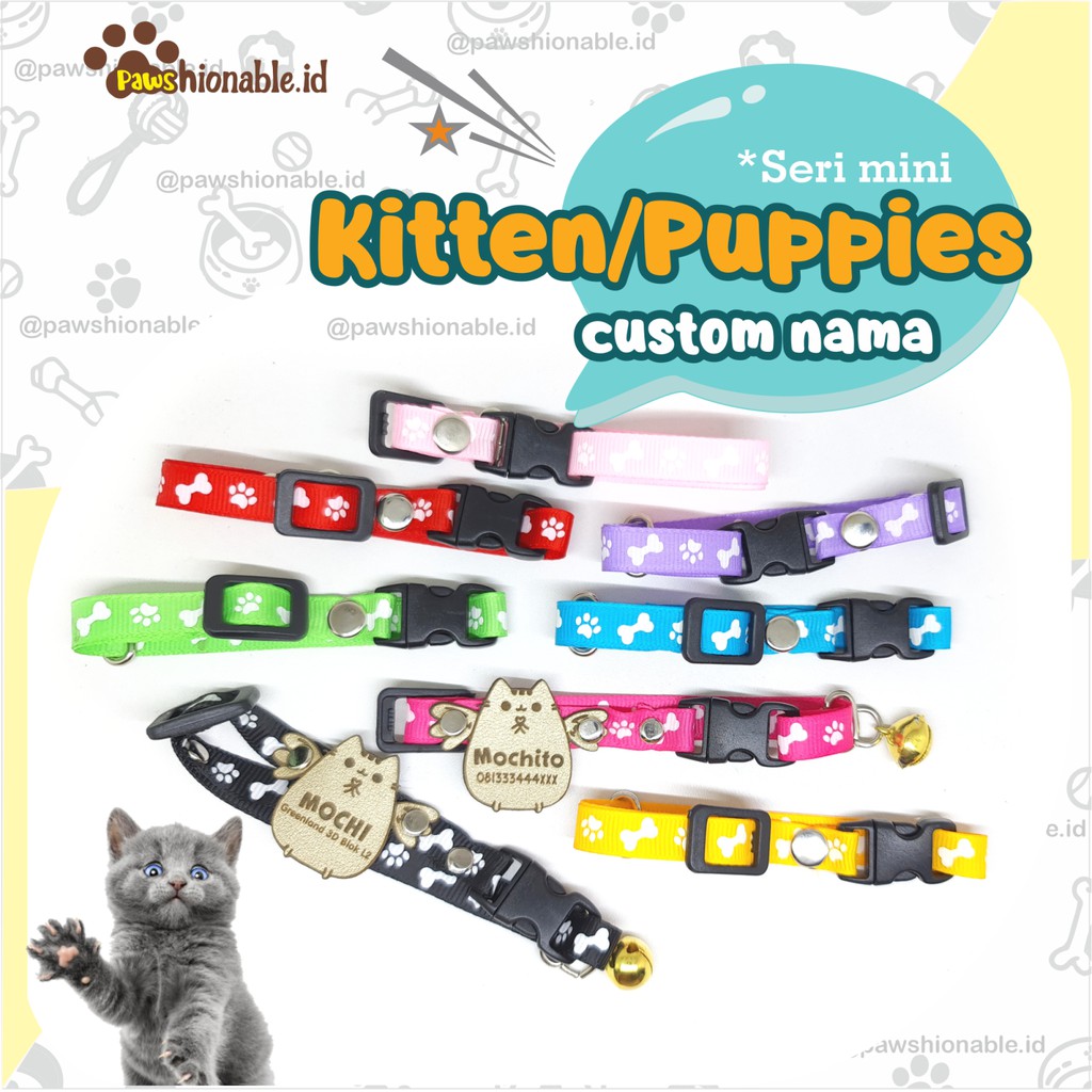 K39 Kalung Kucing Anjing Kecil khusus Kitten Puppies Custom Nama