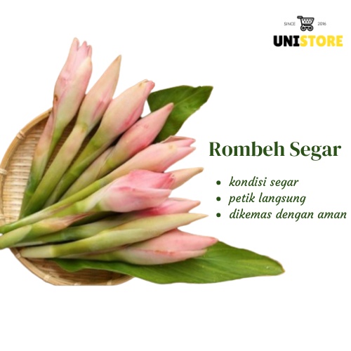 

Rombeh segar 250 gram / Comrang / Bunga Honje Segar / Bunga Kecomrang - kincung