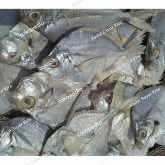 

Ikan asin petek 1000gr