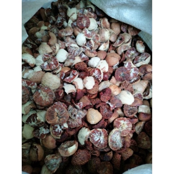 

pinang tua iris kering