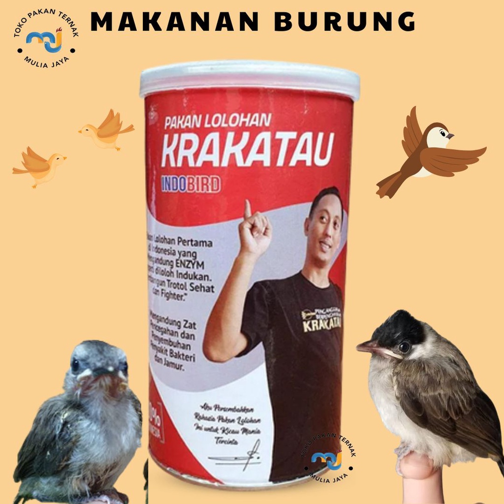 Indobird Pakan Lolohan Krakatau Makanan Anakan Burung Lolohan Piyik Murai