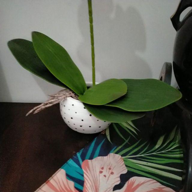 Batu Alam/ Batu Hias Bahan Dekorasi 500 Gr