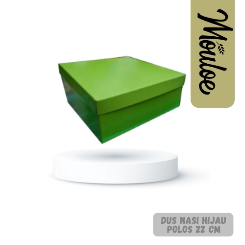 

DUS NASI WARNA HIJAU POLOS 22x22x8cm
