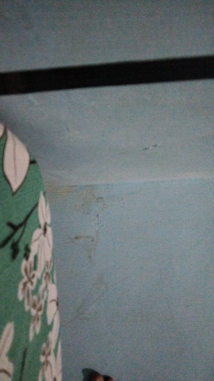 Bedcover Fata Size 180x200 Margarita/happy Doraemon/black Forest/shangrilla/bambo/lovela/italiano