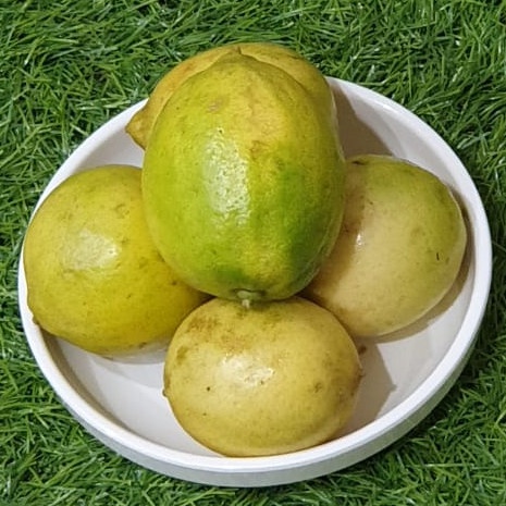 

LEMON LOKAL (pack 500gr)