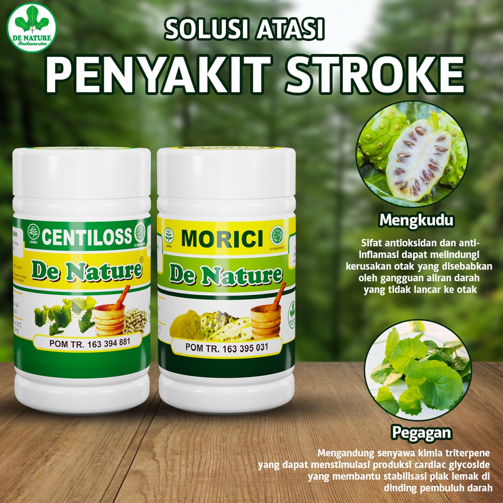 

ASLI OBAT HERBAL STROKE SETRUK STRUK - DARAH TINGGI/ HIPERTENSI- VERTIGO- CENTILOSS MORICI DE NATURE