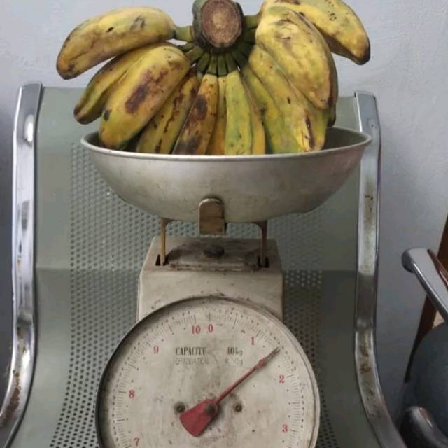 

Pisang kepok kuning berat 1kg-1,2kg