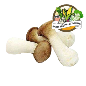 

Jamur King Oyster 200grm