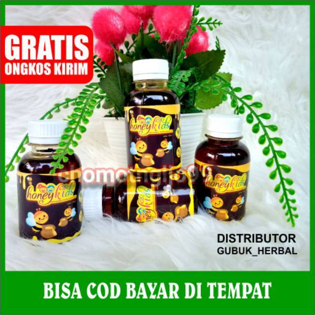 Paket Gemuk 4 Botol - Penambah Berat Badan Anak HoneyKids