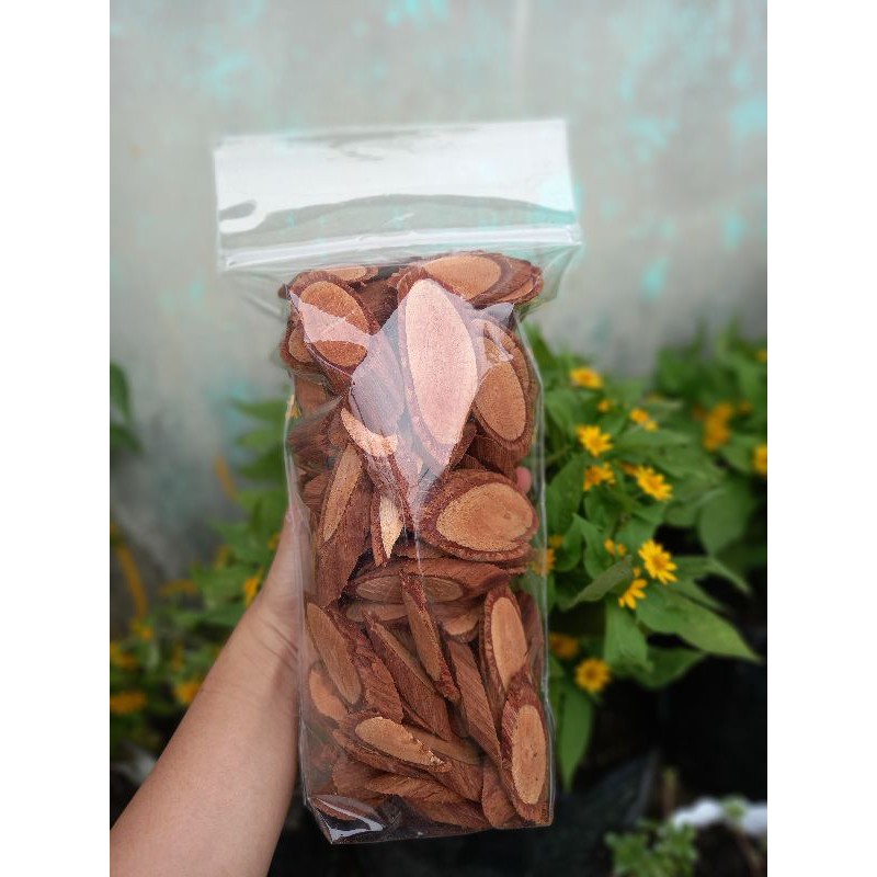 

Akar Bajakah Tapala Merah