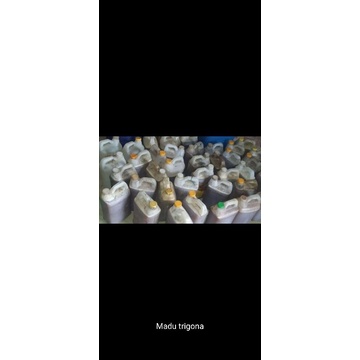 

madu trigona hutan murni