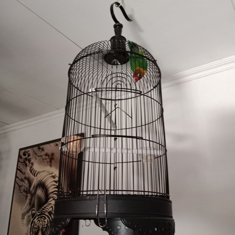 sangkar lovebird kecil/ kandang lovebird ukuran kecil/sangkar burung pleci