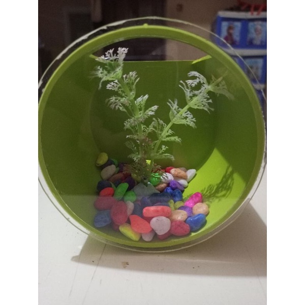 Aquarium bulat murah mini unik dan lucu untuk ikan hias kecil cupang guppy