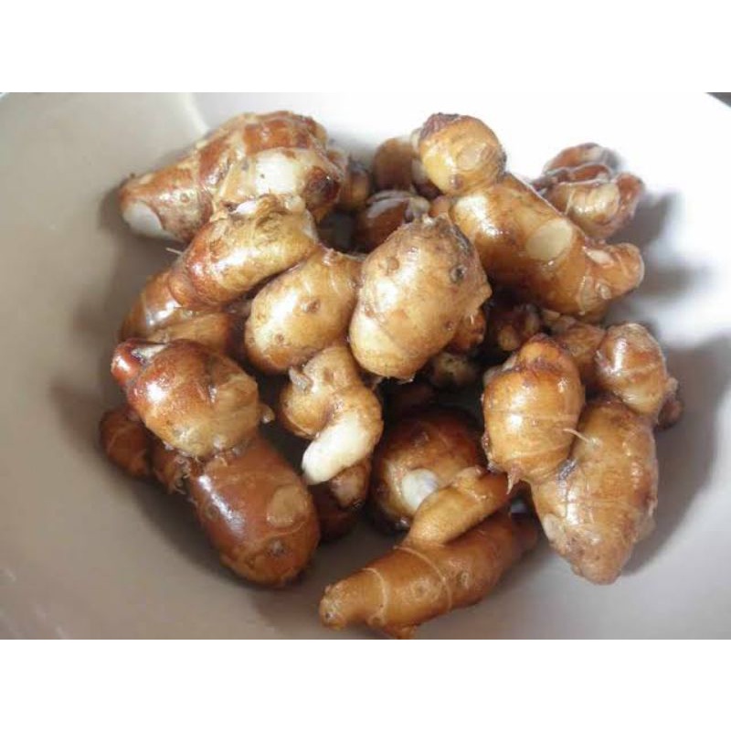 

kencur (rempah-rempah) bumbu dapur