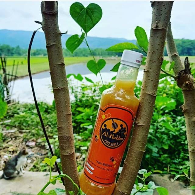

Madu kaliandra