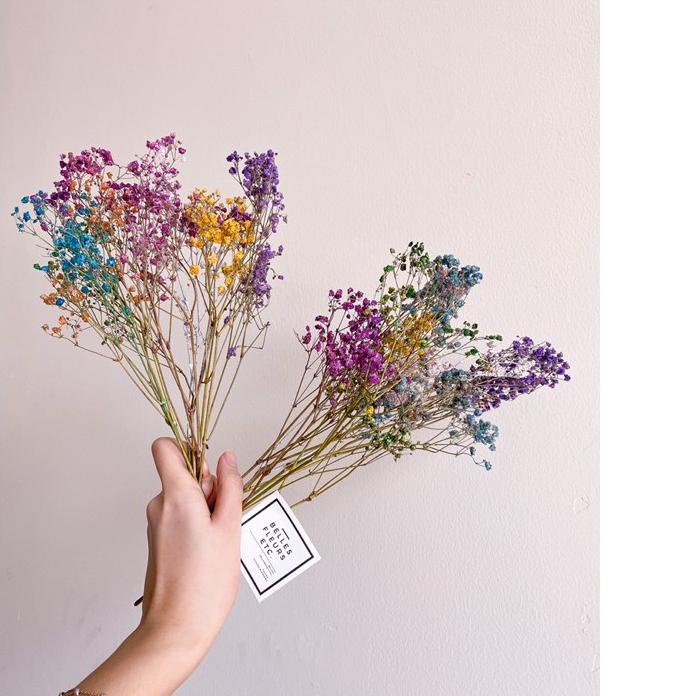 Dried Colorful Rainbow Babybreath/ Babybreath kering warna campur di warnai