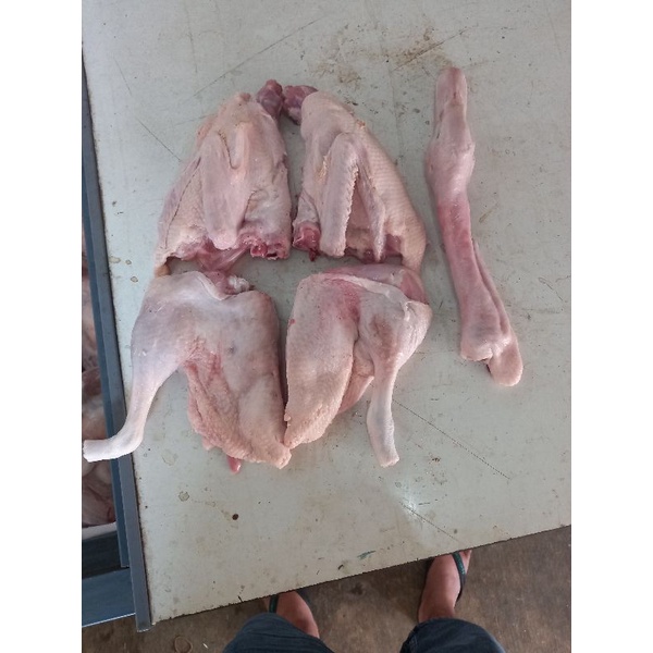 

BEBEK 0.9 BELAH 4.fress/frozen