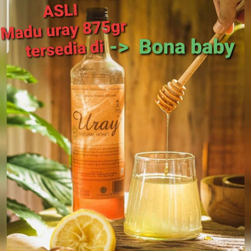 

[BonaBaby] madu uray 870gr / madu asli / natural honey