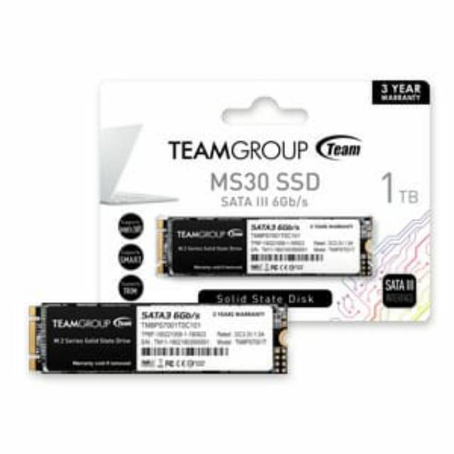 Team Group MS30 SSD 1TB M.2 2280 SATA III 6Gb/s