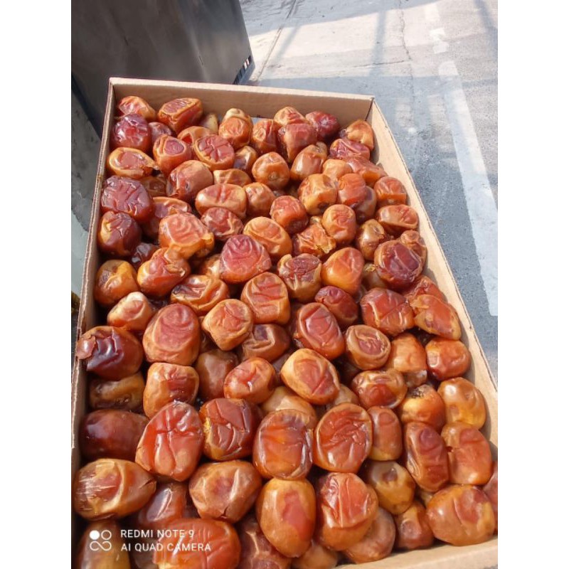 

kurma sukkari