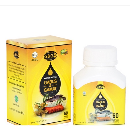 Minyak Albumin Ikan Gabus | Gamat Emas Syifacare G&amp;G isi 60 kapsul