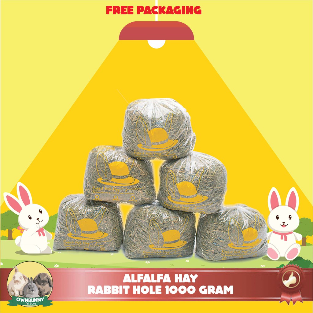 ALFALFA HAY RABBIT HOLE RUMPUT ATAU MAKANAN KELINCI 1000gr